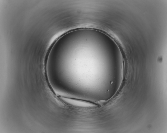 X0000090431230200707272124