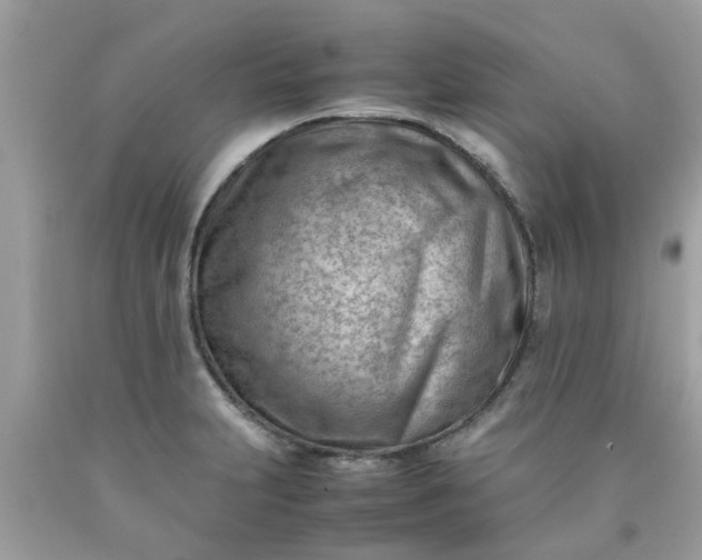 X0000090431231200707272124