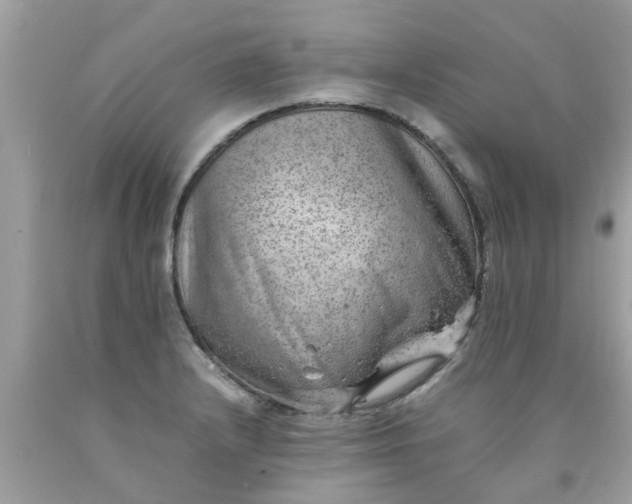 X0000090431232200707272124