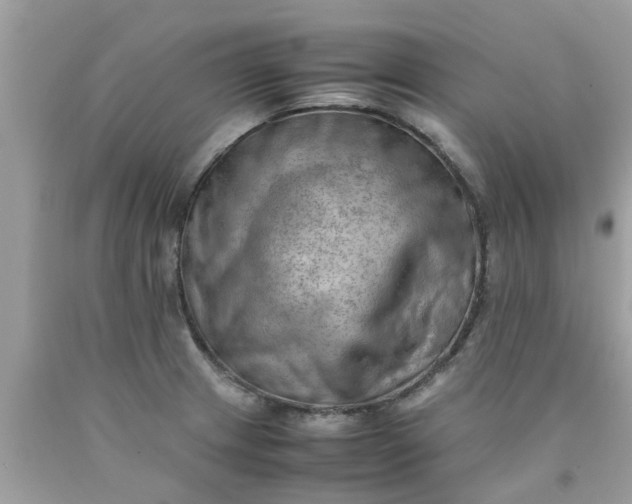 X0000090431233200707272124