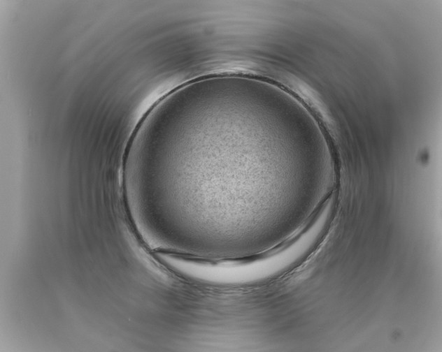 X0000090431234200707272124