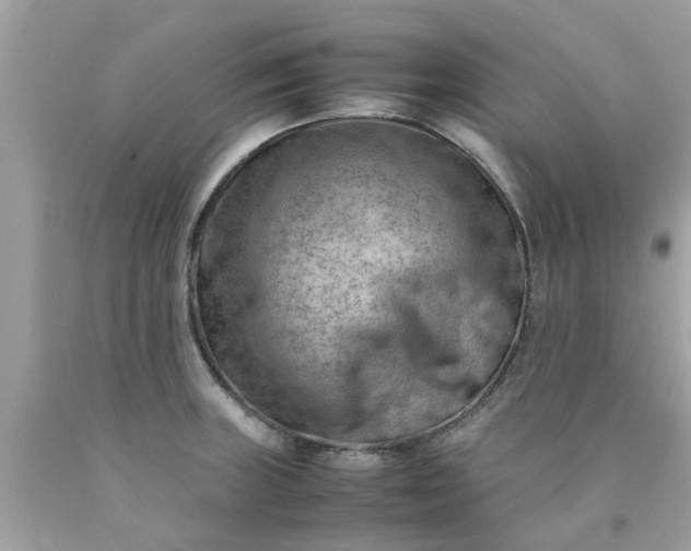 X0000090431235200707272124