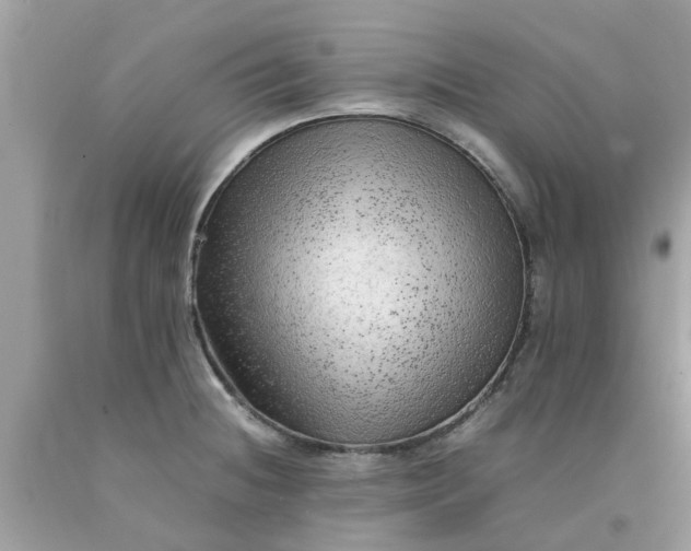 X0000090431236200707272124