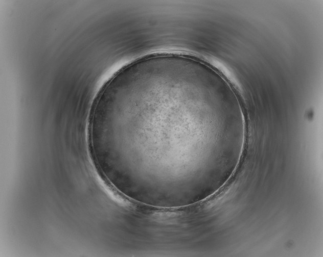 X0000090431237200707272124