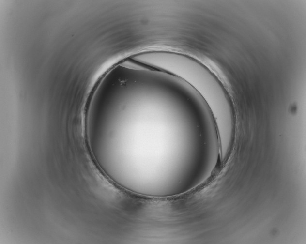 X0000090431238200707272124