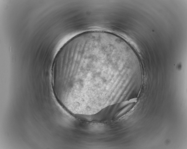 X0000090431239200707272124