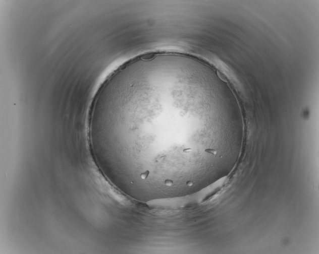 X0000090431240200707272124