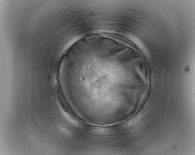 X0000090431241200707272124