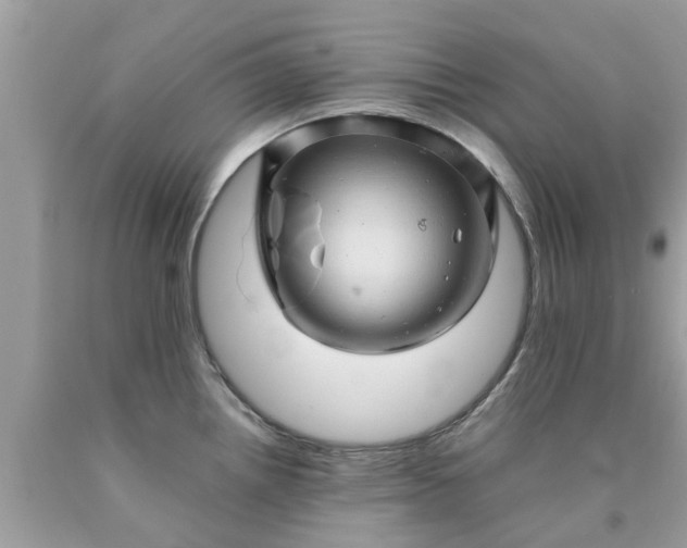 X0000090431242200707272124