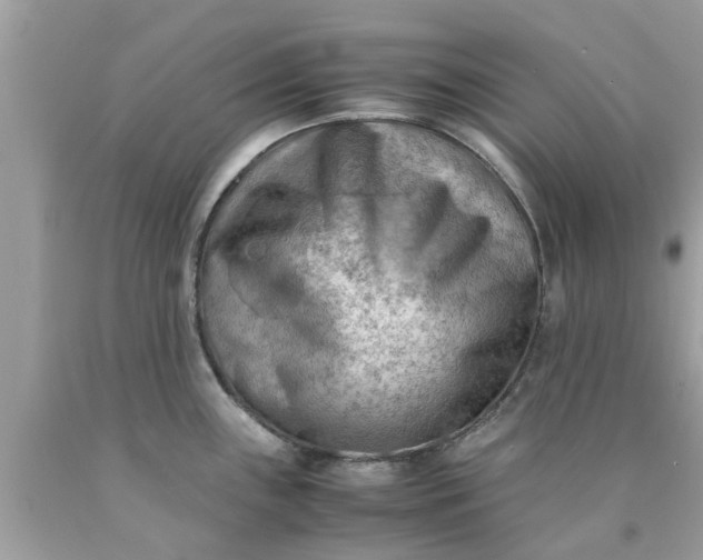 X0000090431243200707272124