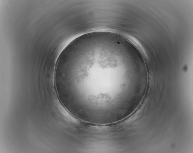 X0000090431244200707272124