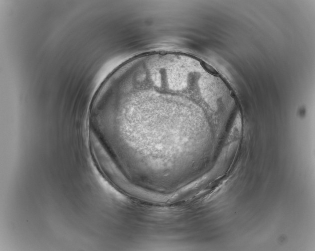 X0000090431247200707272124