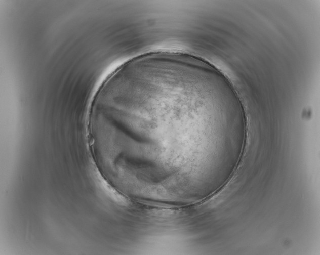 X0000090431248200707272124