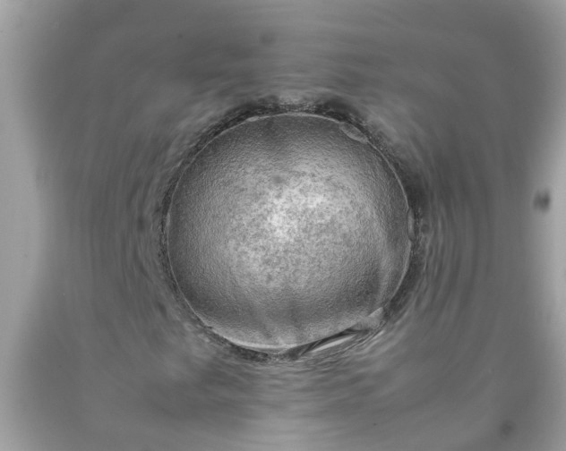 X0000090431249200707272124