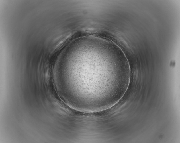 X0000090431250200707272124