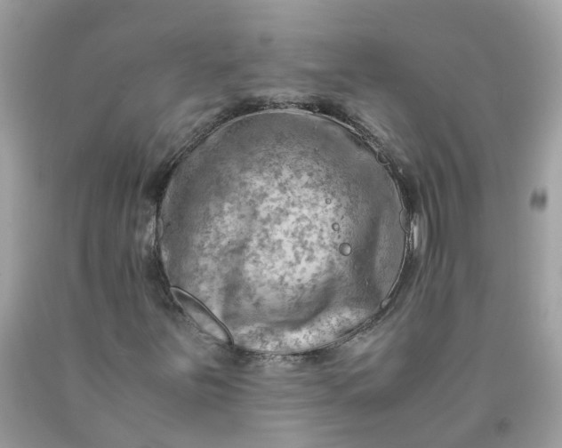 X0000090431251200707272124