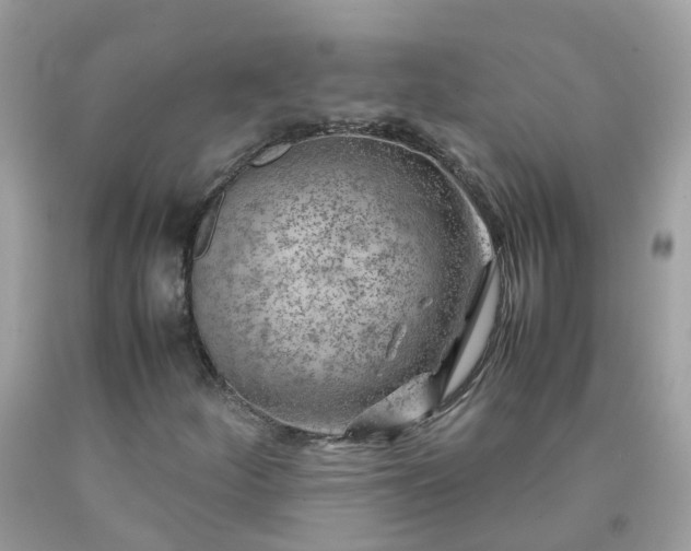 X0000090431252200707272124