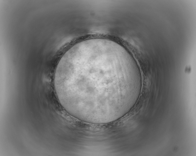 X0000090431254200707272124