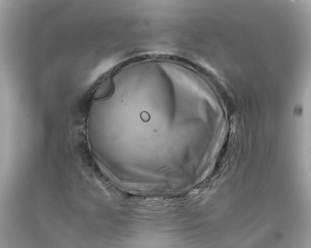 X0000090431255200707272124