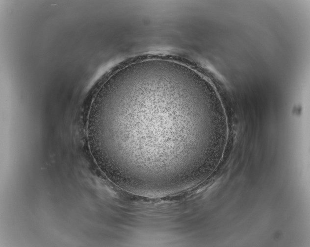 X0000090431256200707272124