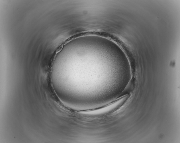 X0000090431257200707272124