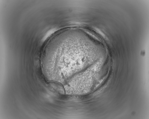 X0000090431259200707272124