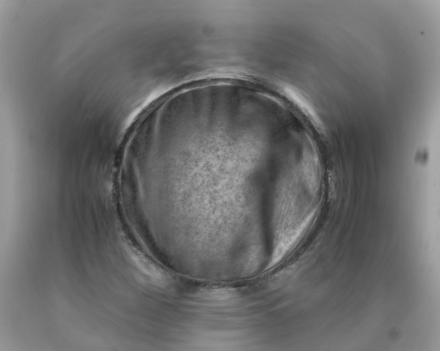 X0000090431260200707272124