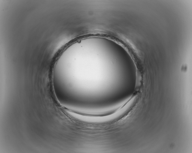 X0000090431261200707272124