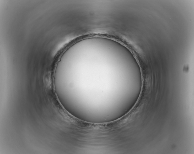 X0000090431262200707272124