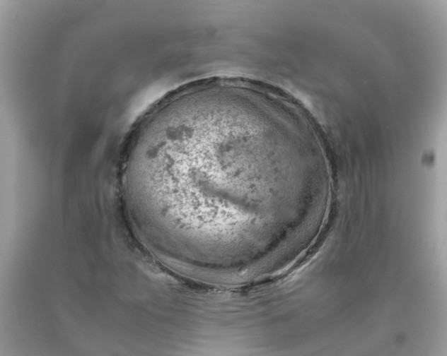 X0000090431263200707272124