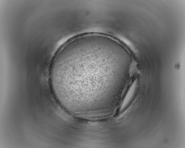 X0000090431264200707272124