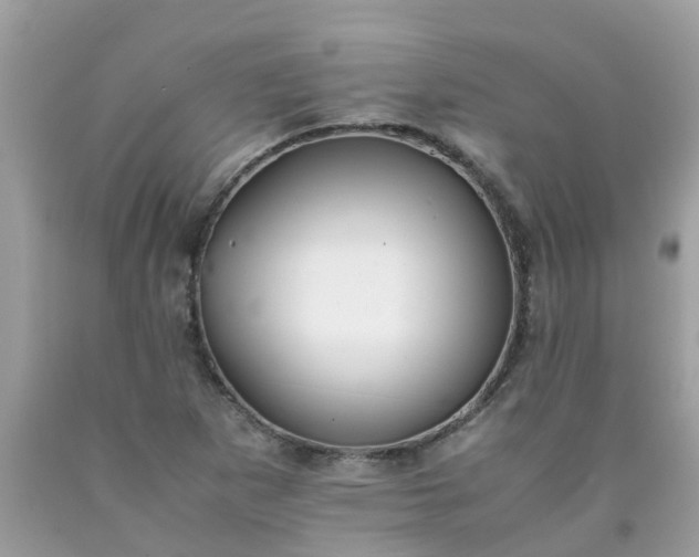 X0000090431265200707272124