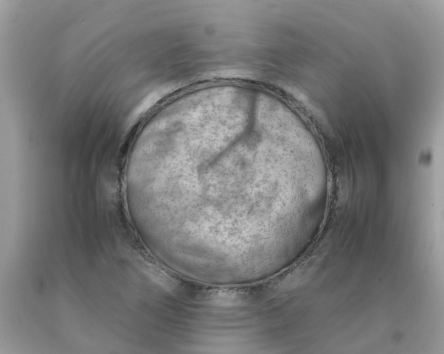 X0000090431266200707272124