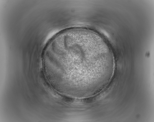 X0000090431267200707272124