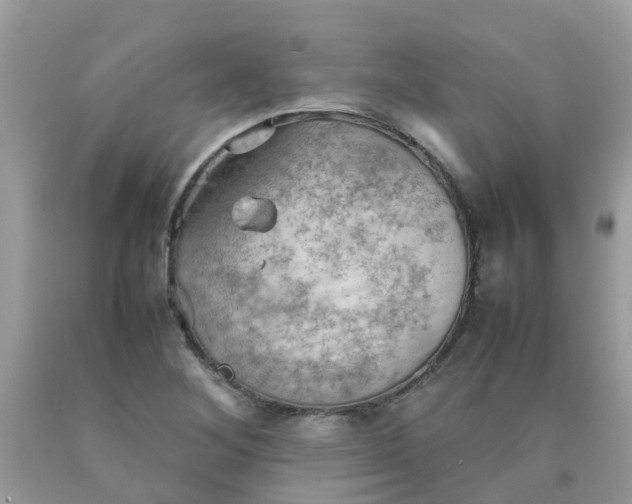 X0000090431268200707272124