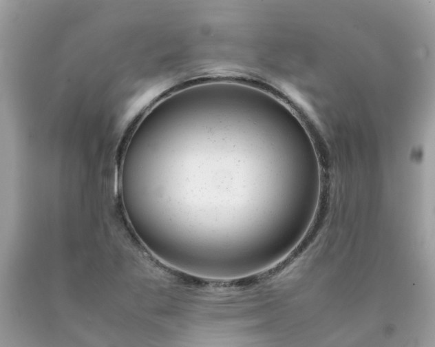 X0000090431269200707272124