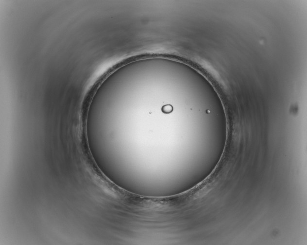 X0000090431270200707272123