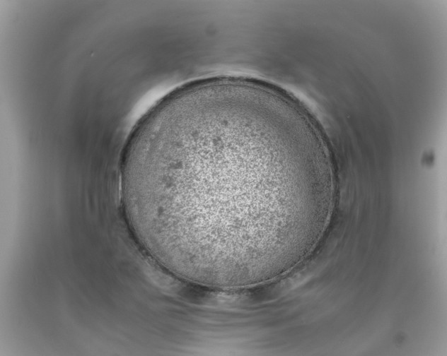 X0000090431271200707272123