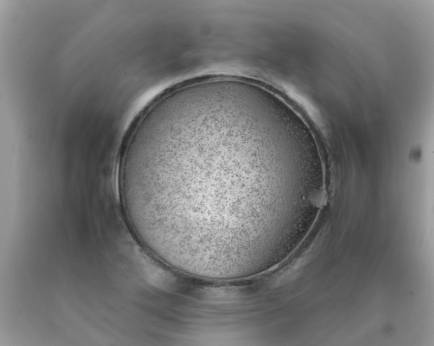 X0000090431272200707272123