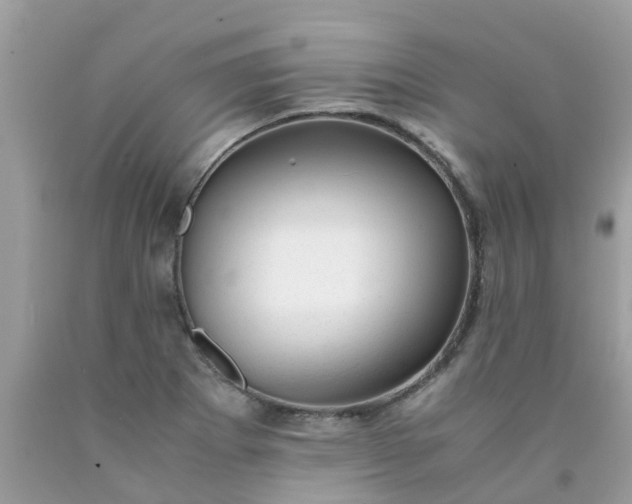 X0000090431273200707272123