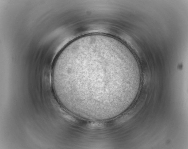 X0000090431274200707272123