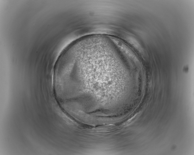 X0000090431275200707272123