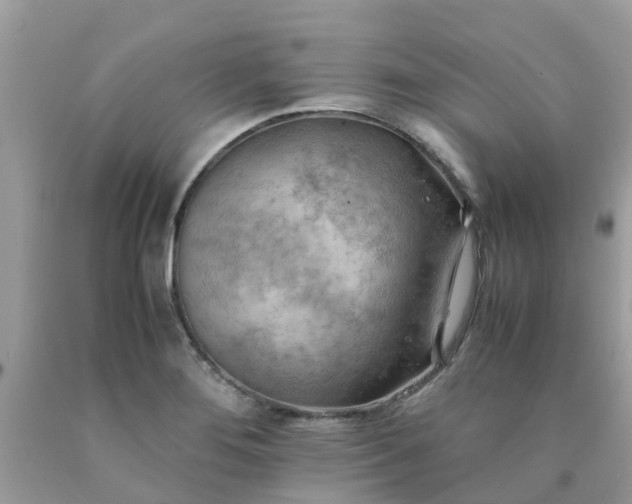 X0000090431276200707272123