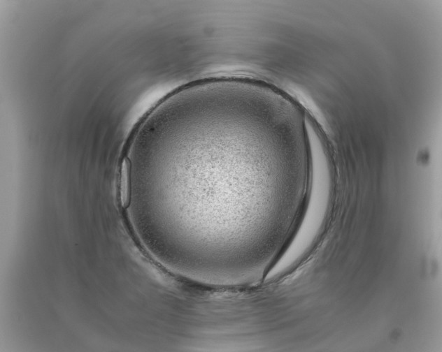 X0000090431277200707272123