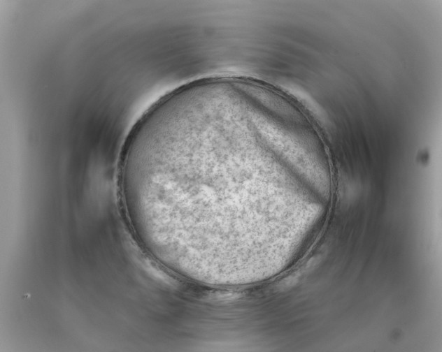 X0000090431278200707272123