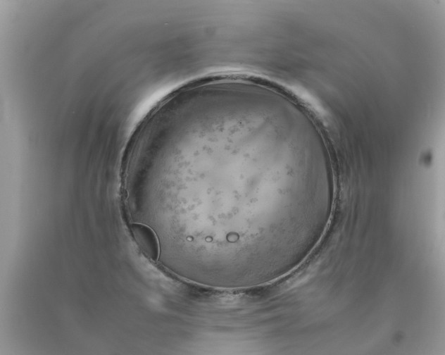 X0000090431279200707272123