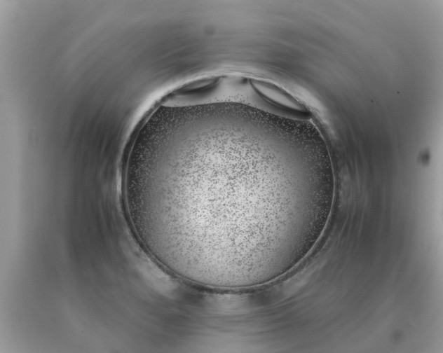 X0000090431280200707272123