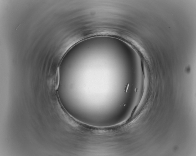 X0000090431281200707272123