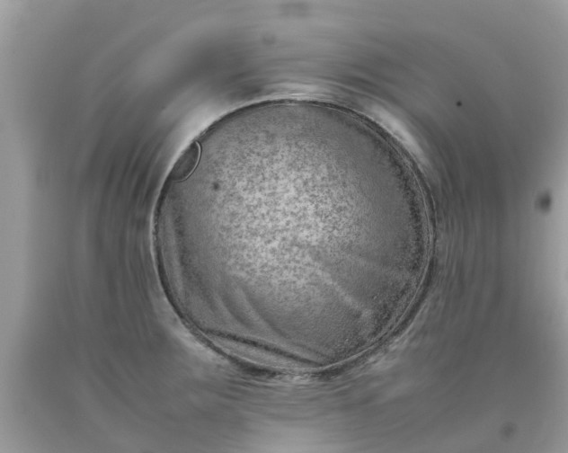 X0000090431283200707272123