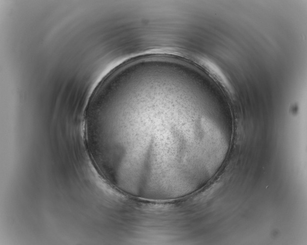 X0000090431284200707272123